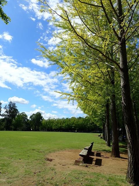 科学万博記念公園...つくば市_f0103534_20431342.jpg