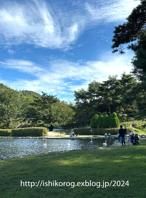 秋の使者飛来・みやま公園_a0223379_15435088.jpg