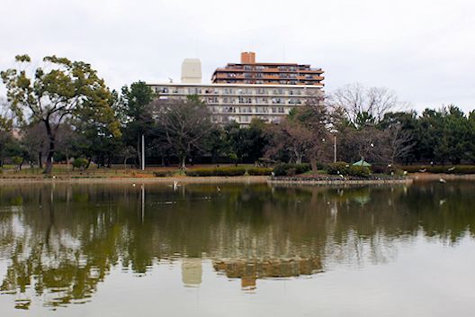 住之江公園（すみのえこうえん）散歩写真_c0191967_06494047.jpg