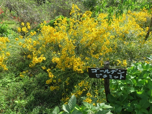 敷地里山公園　静岡県磐田市_d0164761_16071185.jpg