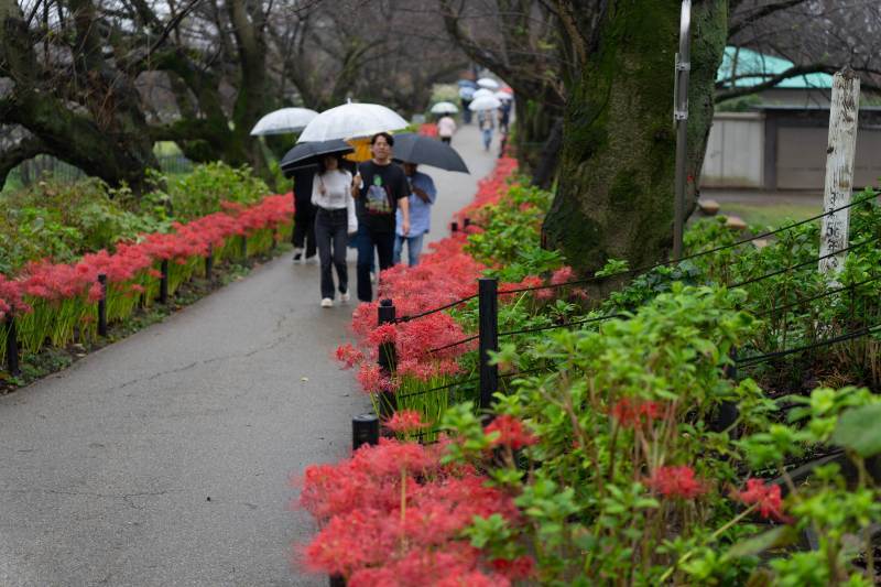 久し振りのふなばし三番瀬_a0377386_15035048.jpg