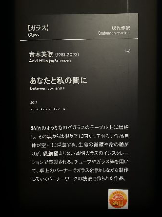 「超絶技巧、未来へ！」　山口県立美術館_d0376947_17480168.jpg