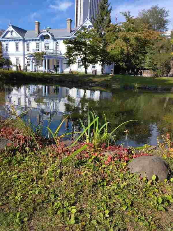 中島公園の紅葉　１０月１４日_e0379641_20092246.jpg