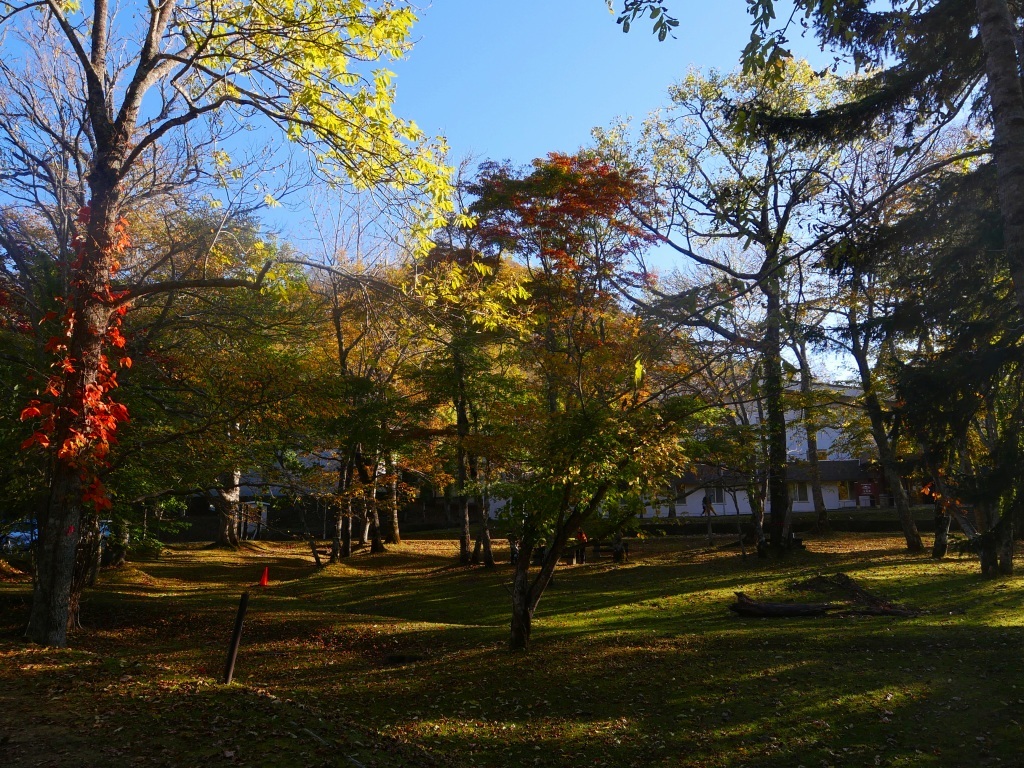 支笏湖休暇村の紅葉、2024.10.13_f0138096_18204464.jpg