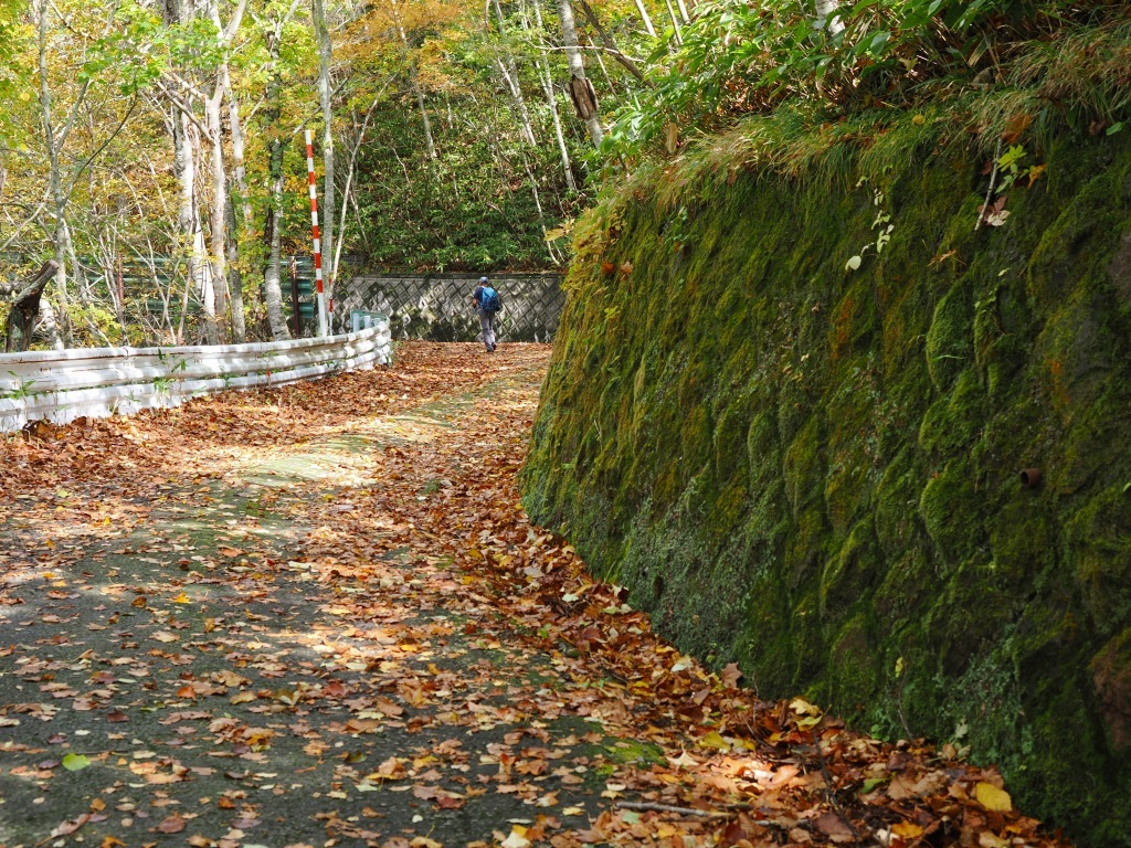 紅葉の紋別岳（190回目）、2024.10.16_f0138096_18352390.jpg