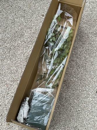 「新しい薔薇苗が届いた」_c0409590_18502689.jpg