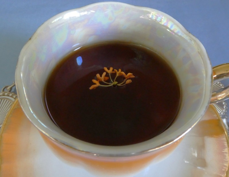 金木犀を摘んでお茶を…＊ fragrant olive tea_f0374041_08575356.jpg