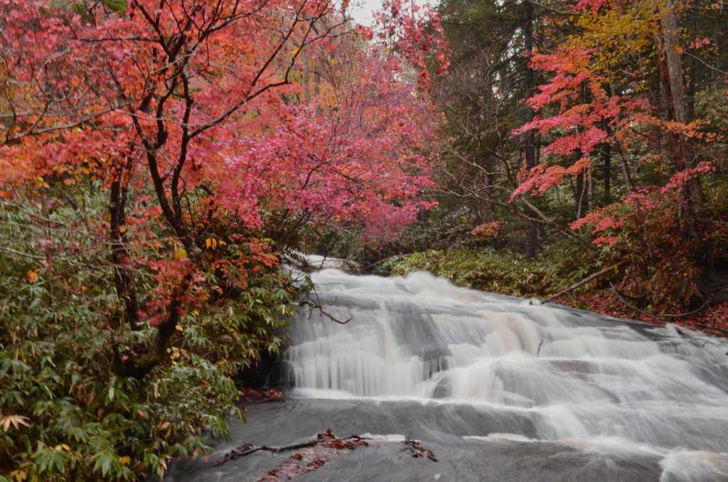 紅葉の季節　石山緑地・恵庭渓谷_e0130986_17272656.jpg