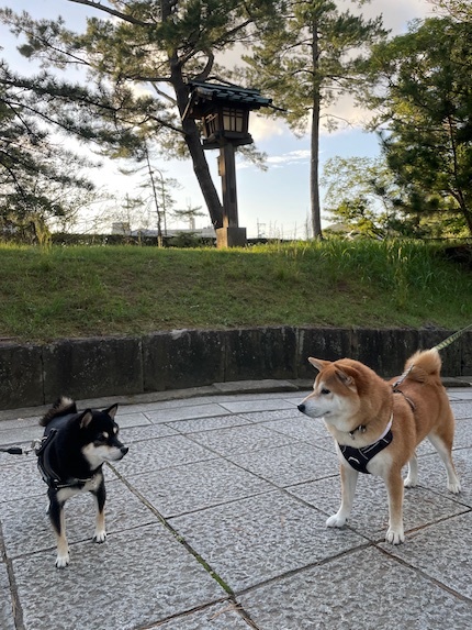 出雲、真庭への旅　〜２０２４　秋〜　その１_a0232774_14561960.jpg