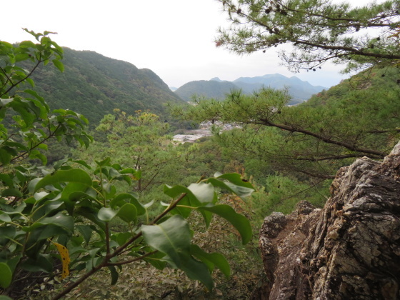 長山城跡まで登る　芥見権現山 (316.5M)    PART 1_d0170615_07352711.jpg