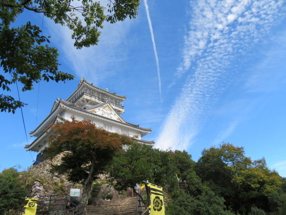 登頂する　金華山 (328.9M)  PART 2_d0170615_19543934.jpg