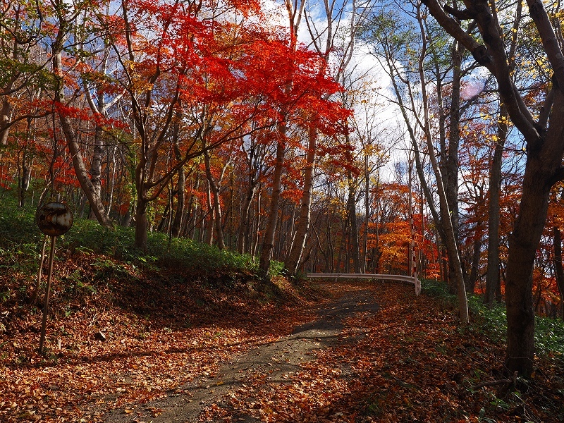 紅葉の紋別岳（191回目）、2024.10.31_f0138096_16061421.jpg