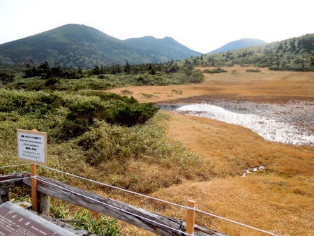 八甲田山田茂萢湿原（ゴードライン）を歩く_e0153040_13271570.jpg