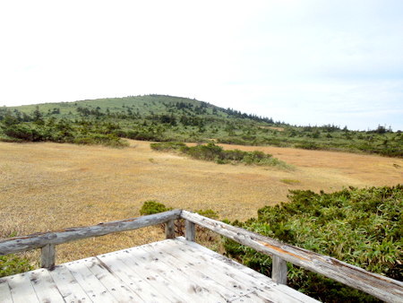 八甲田山田茂萢湿原（ゴードライン）を歩く_e0153040_13305984.jpg