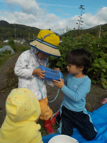 2024.10.30 ハートの葉っぱを探せ！お芋があるはず&#127840;_c0241656_12384278.jpg