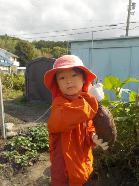 2024.10.30 ハートの葉っぱを探せ！お芋があるはず&#127840;_c0241656_13140027.jpg