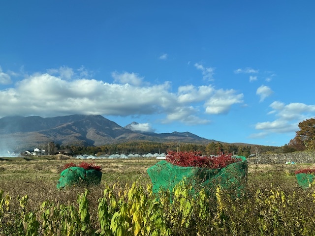 東京に戻る日_b0091164_20523315.jpg