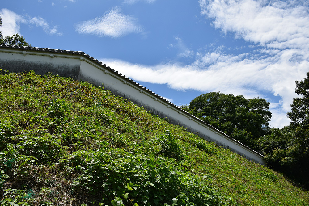 伊勢亀山城跡逍遥記。　その３　＜二ノ丸帯曲輪～石坂門跡＞_e0158128_20493101.jpg