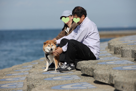 柴犬８頭淡路島への旅　〜２０２４〜　その１_a0232774_22084016.jpg