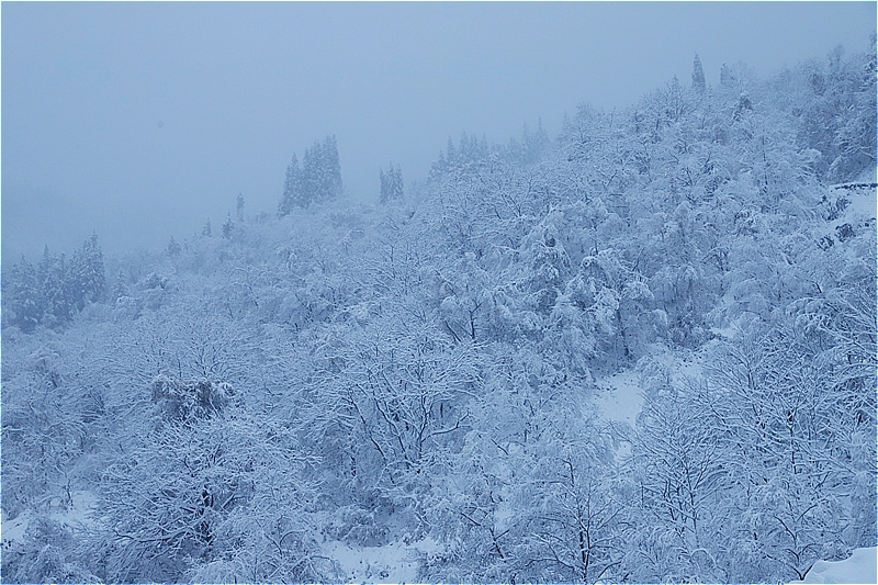 最初の雪景色_c0155950_23171204.jpg