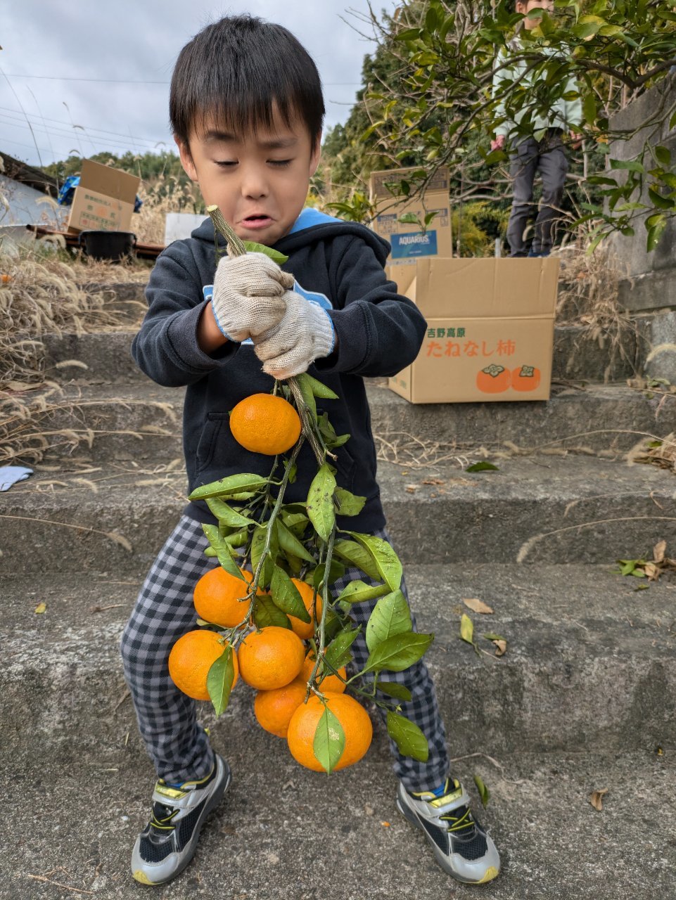 ミカン狩り_f0142733_21095466.jpg