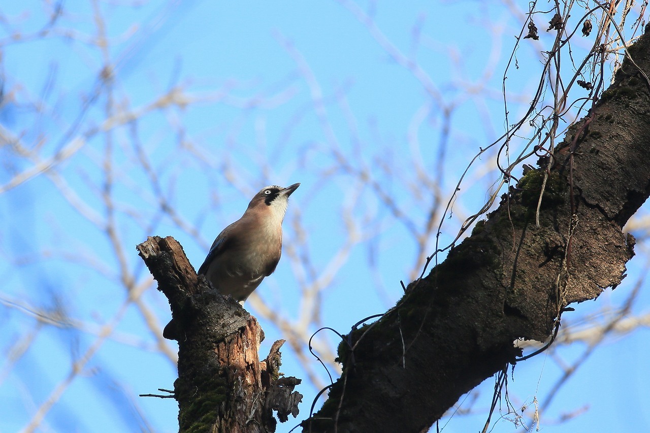 AK公園にて_f0296999_17525235.jpg