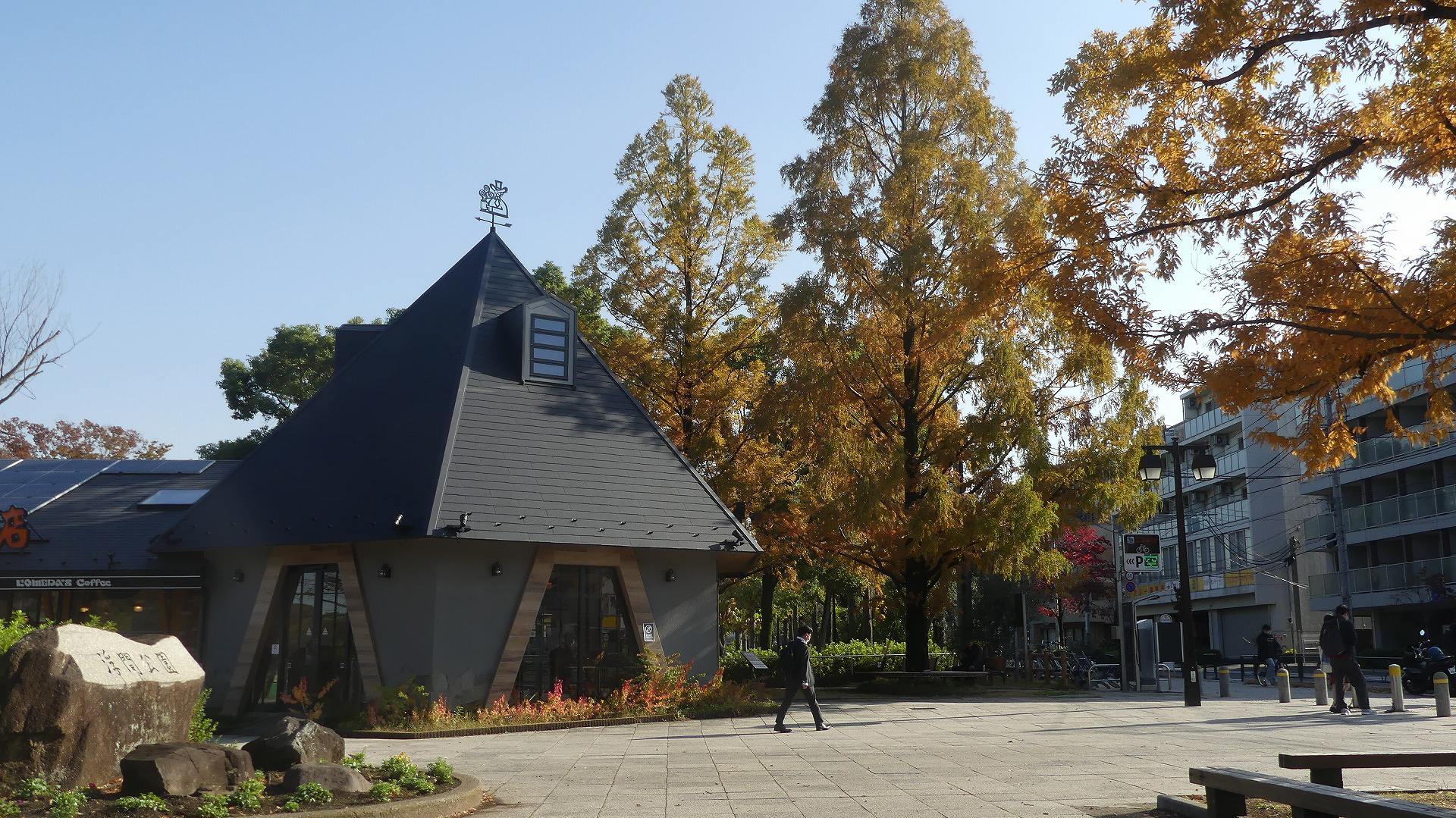 今年の鴨池はどうかな　【2024　11/27（水） 】_a0185081_09481467.jpg