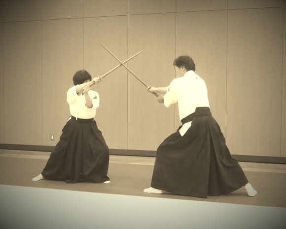 国際水月塾武術協会 International Suigetsujuku Bujutsu Association