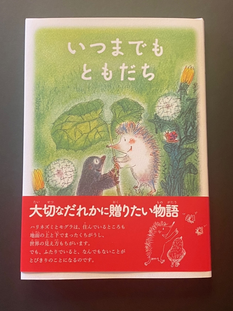 河口湖の勝山小学校でお話しして来ました！＊_d0137382_15294718.jpg