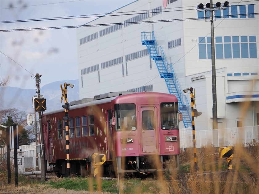 カシラダカ　など_b0412856_17132176.jpg