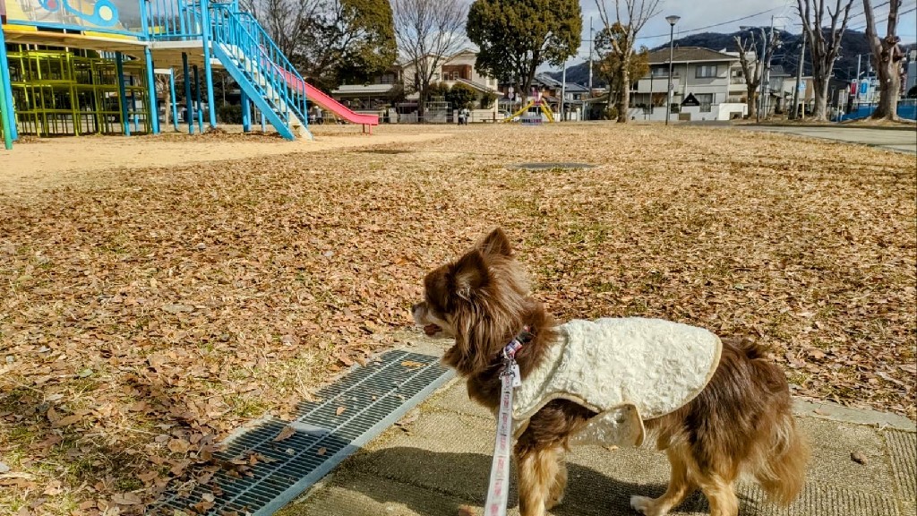 カワイイ♡を発見_f0407186_14093834.jpg